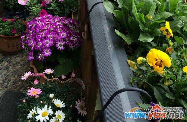 阳台种花<a href='http://www.ytzx.net/category/list-32.html' target='_blank'><u>风水</u></a>知识详解