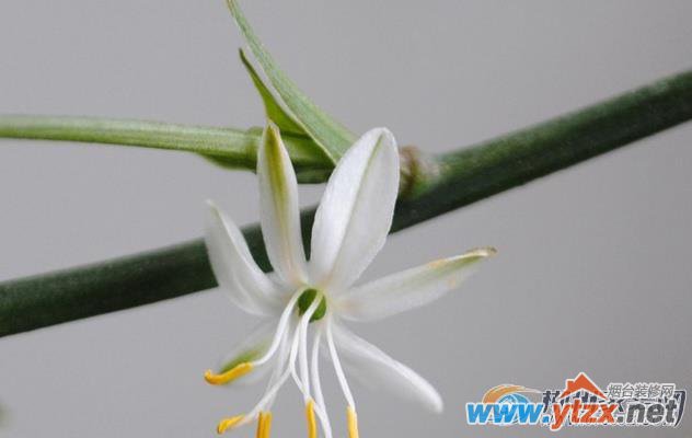 阳台<a href='http://www.ytzx.net/category/list-32.html' target='_blank'><u>风水</u></a>问题 阳台<a href='http://www.ytzx.net/category/list-32.html' target='_blank'><u>风水</u></a>问题不能忽视