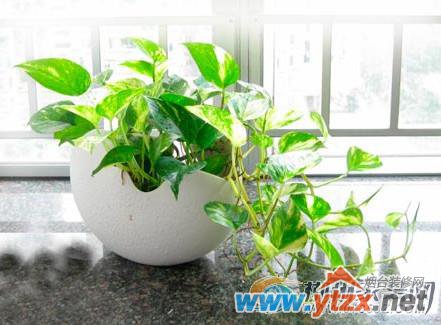 端午节家居<a href='http://www.ytzx.net/category/list-32.html' target='_blank'><u>风水</u></a>布局 驱邪转运的好日子