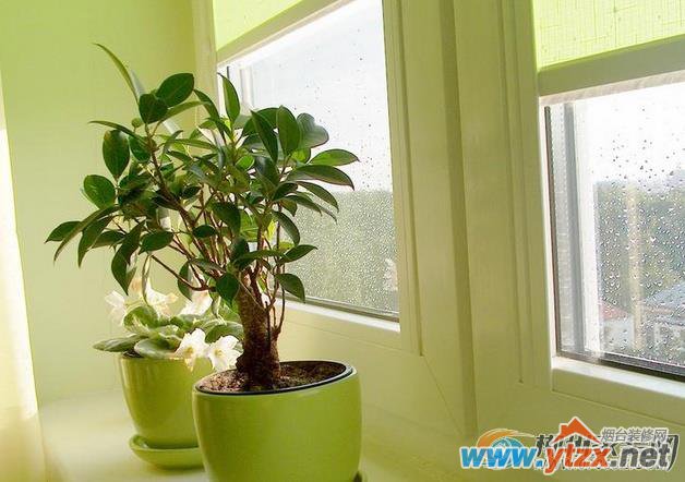 植物<a href='http://www.ytzx.net/category/list-32.html' target='_blank'><u>风水</u></a>:家居盆栽8大<a href='http://www.ytzx.net/category/list-32.html' target='_blank'><u>风水</u></a>讲究