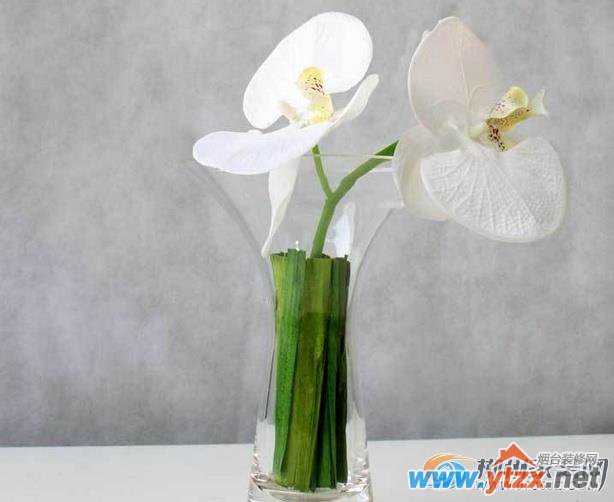常见的客厅<a href='http://www.ytzx.net/category/list-32.html' target='_blank'><u>风水</u></a>摆件有哪些 有什么禁忌