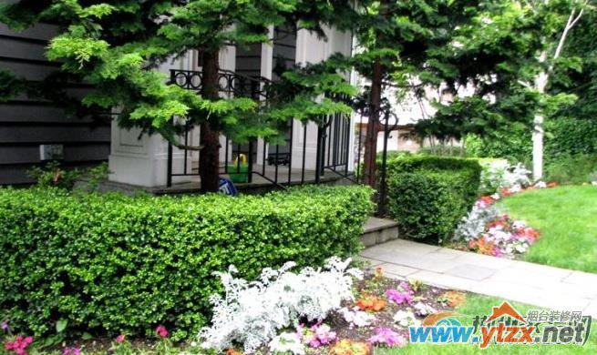 房屋周围种植什么树会有助<a href='http://www.ytzx.net/category/list-32.html' target='_blank'><u>风水</u></a>