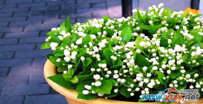打造阳台<a href='http://www.ytzx.net/category/list-32.html' target='_blank'><u>风水</u></a> 朝向位置有讲究