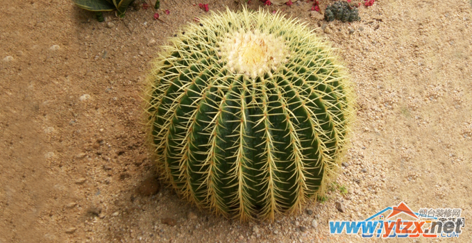 这些破坏<a href='http://www.ytzx.net/category/list-32.html' target='_blank'><u>风水</u></a>东西 千万别往家里拿
