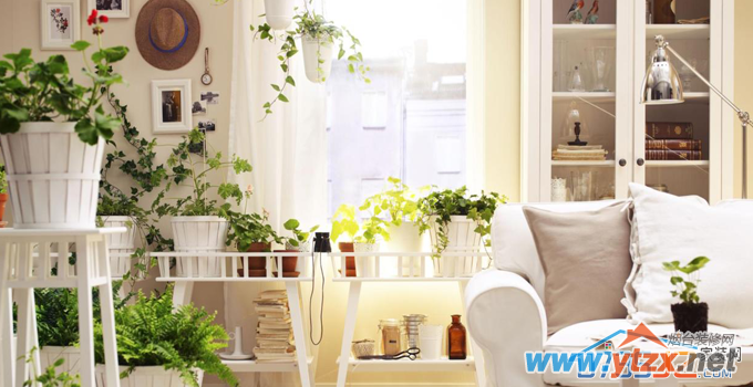不可错过的盆栽盆景<a href='http://www.ytzx.net/category/list-32.html' target='_blank'><u>风水</u></a>要点大揭秘