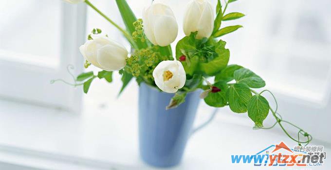 <a href='http://www.ytzx.net/category/list-32.html' target='_blank'><u>风水</u></a>植物的选择和摆放，好<a href='http://www.ytzx.net/category/list-32.html' target='_blank'><u>风水</u></a>靠摆出来