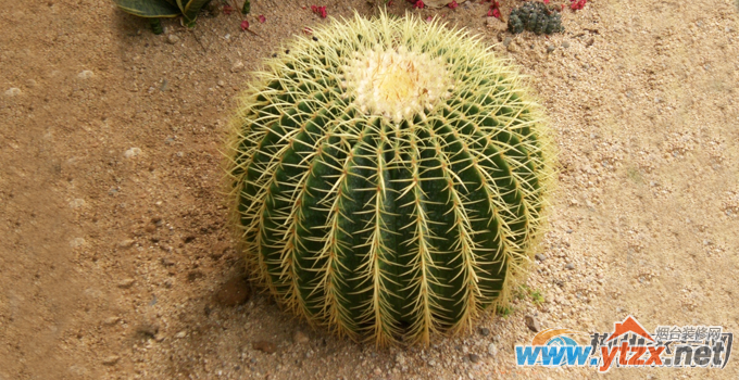 这些破坏<a href='http://www.ytzx.net/category/list-32.html' target='_blank'><u>风水</u></a>东西 千万别往家里拿