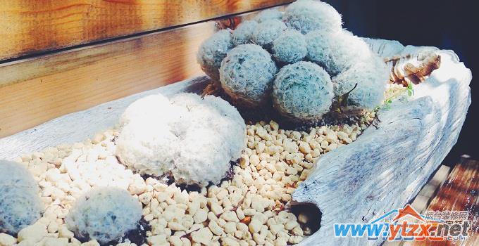布置<a href='http://www.ytzx.net/category/list-32.html' target='_blank'><u>风水</u></a>禁忌(一)